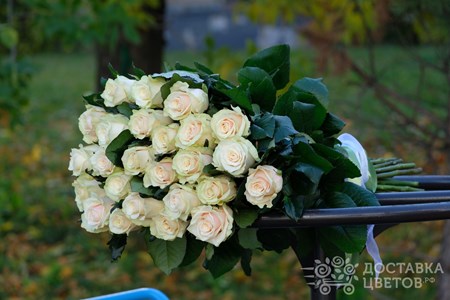 Букет из 25 роз "Чайные розы"